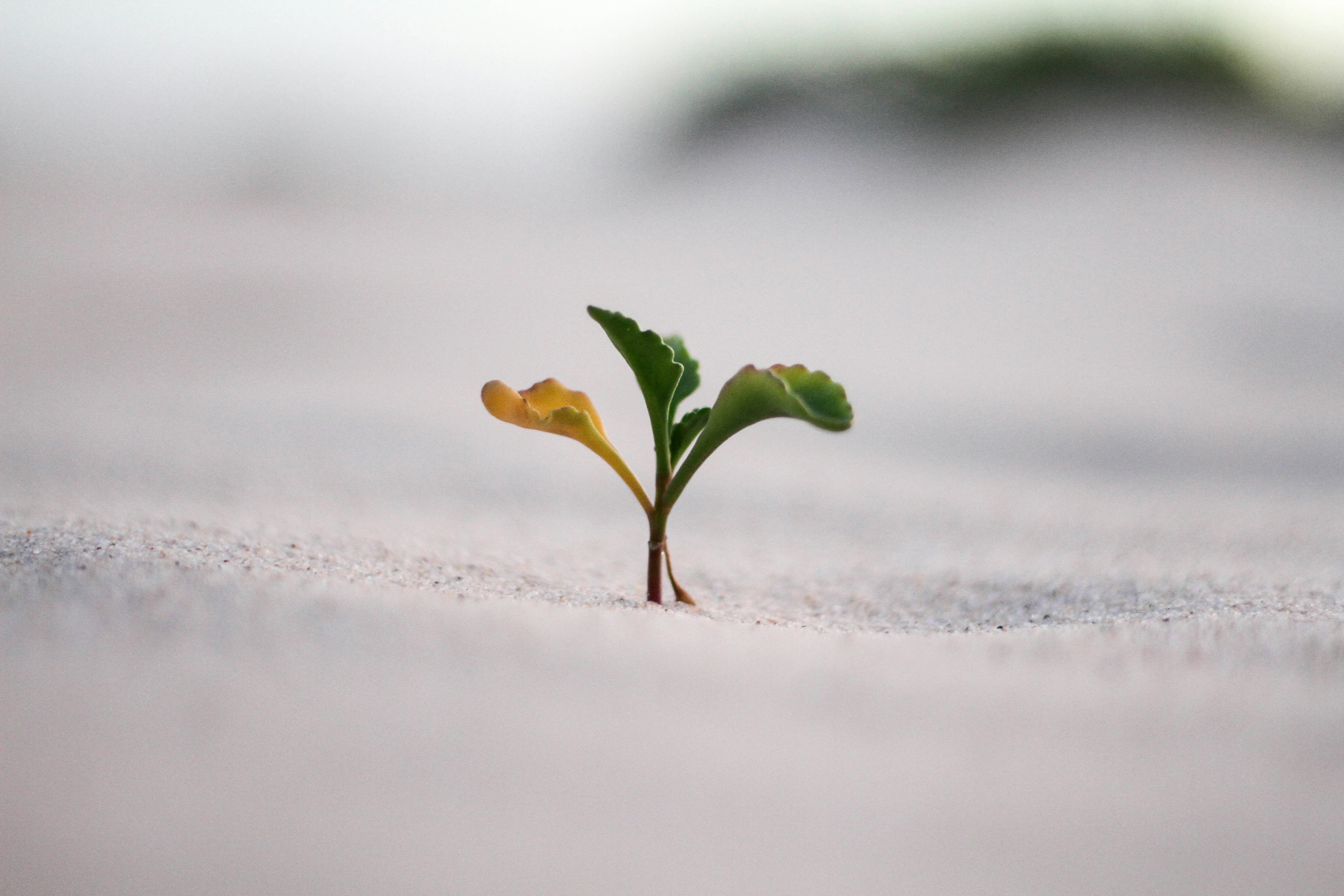 Mindset - Spiritual Alignment